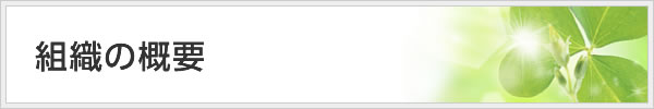 組織の概要